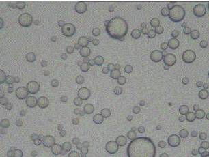粒度檢測標準哪里的檢測機構可以做？