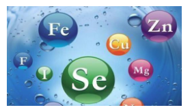 FDA對元素雜質的法規要求